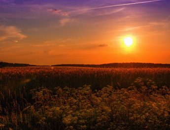 Weather Forecast Of Kathmandu